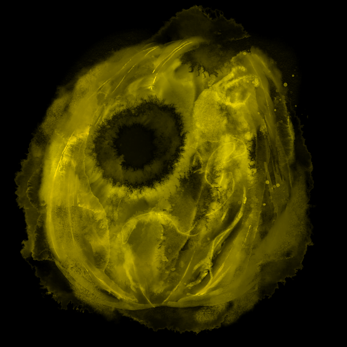 MÖRKTOBER: 31 – Pumpkins