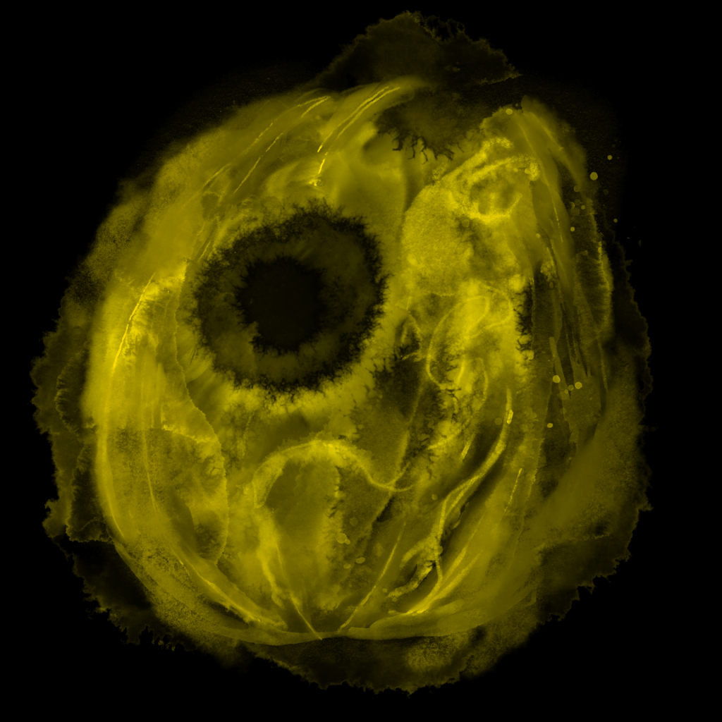 MÖRKTOBER: 31 – Pumpkins